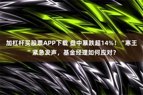 加杠杆买股票APP下载 盘中暴跌超14%！“寒王”紧急发声，基金经理如何应对？